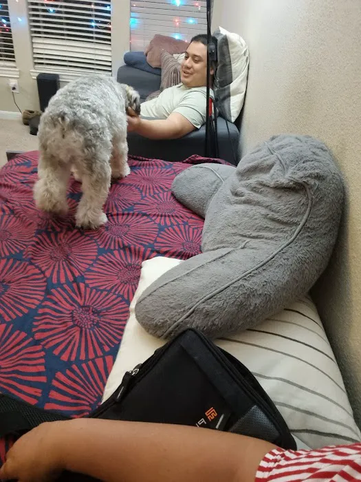 Petco Picture 4