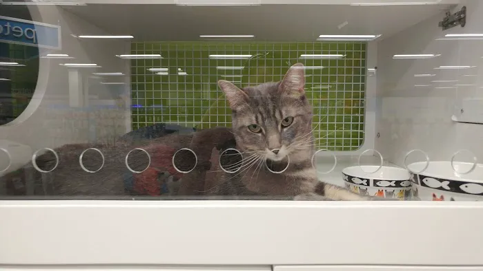 Petco Picture 2