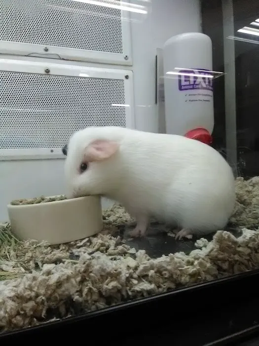 Petco Picture 3