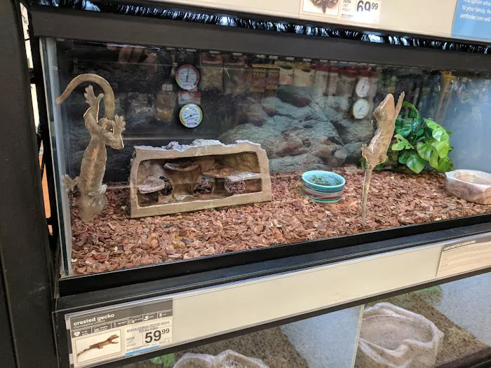 Petco Picture 10