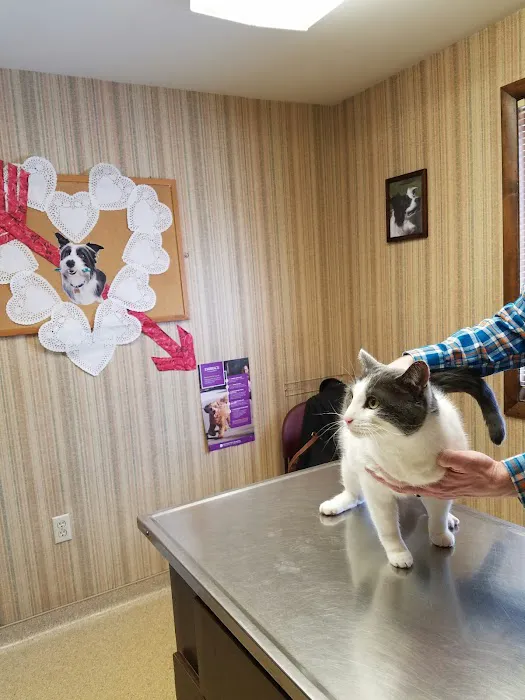 Liverpool Veterinary Hospital Picture 2