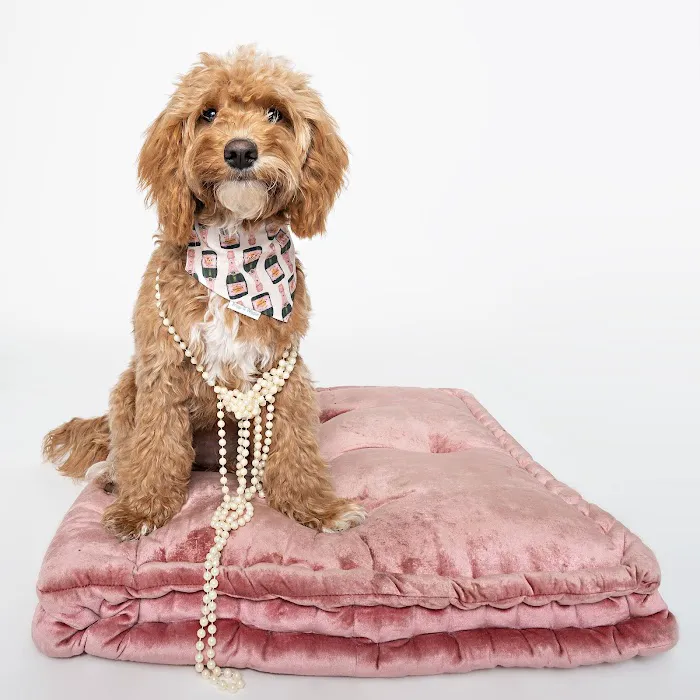 Briggs 'n' Wiggles ® Picture 4