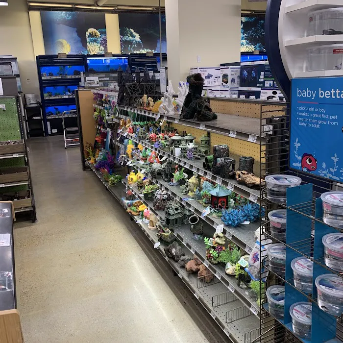 Petco Picture 2