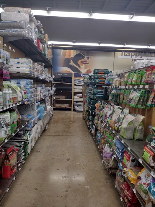 Petco Picture 9