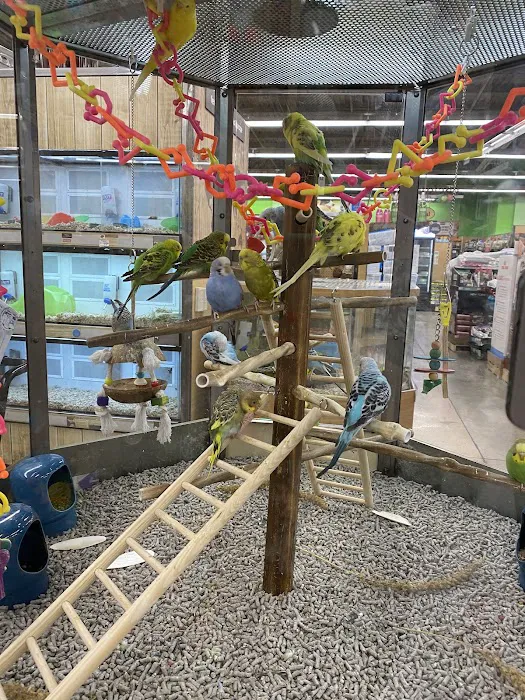 Petco Picture 7