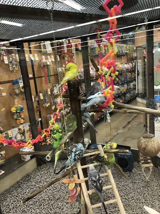 Petco Picture 5