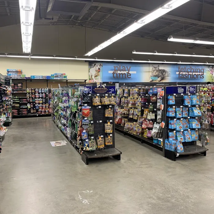 Petco Picture 3