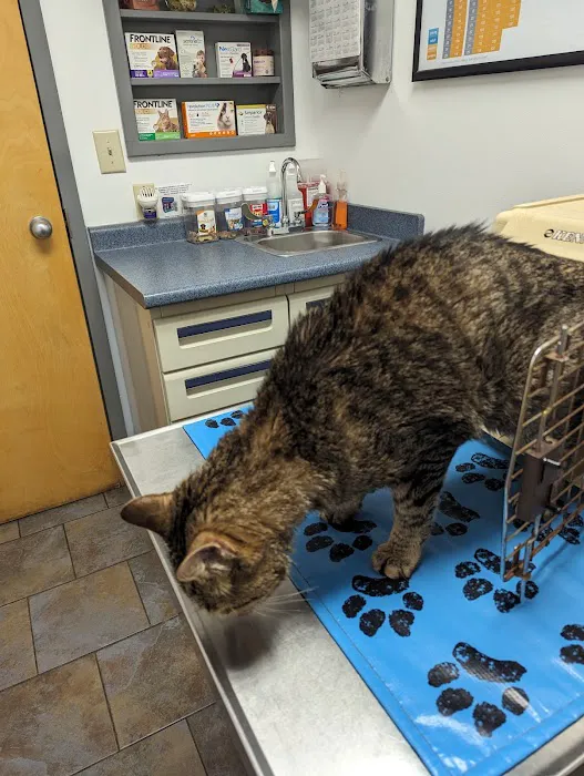 Liverpool Animal Health Center Picture 9
