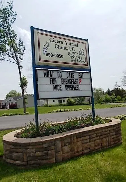 Cicero Animal Clinic, P.C Picture 6