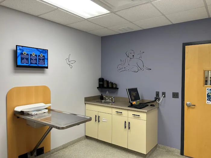 Cicero Animal Clinic, P.C Picture 2