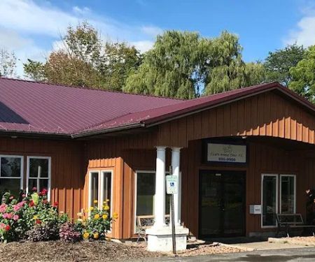Cicero Animal Clinic, P.C