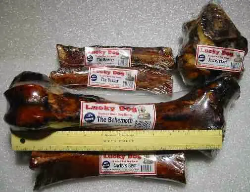 Lucky Dog Bones Picture 4