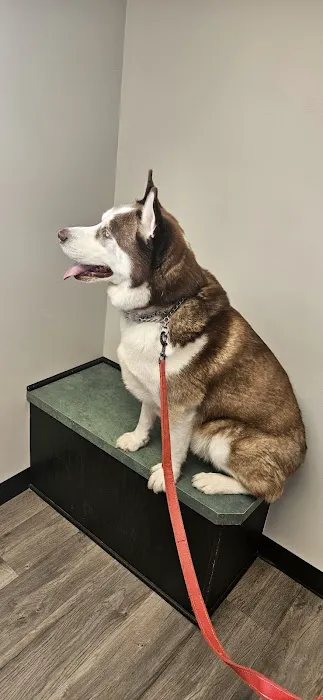 Animal Ark Veterinary Hospital Picture 1