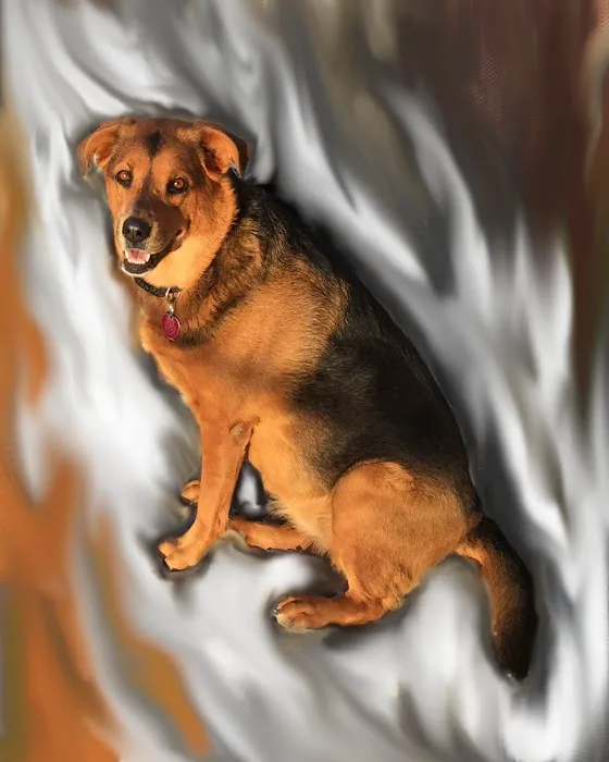 Animal Ark Veterinary Hospital Picture 8
