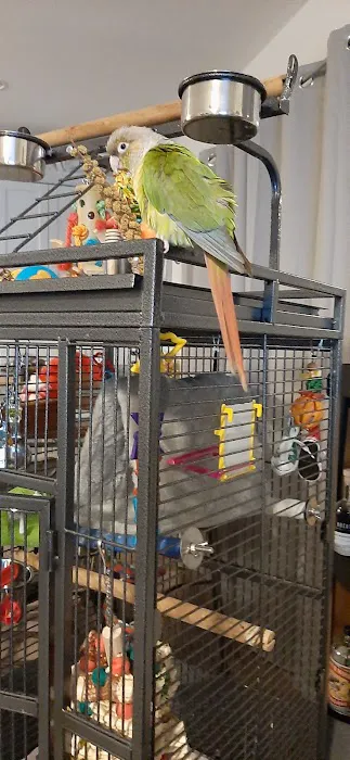 Animal Ark Veterinary Hospital Picture 9