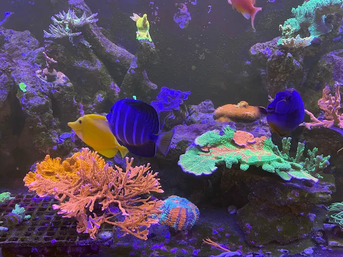 Seaworthy Aquatics Picture 8
