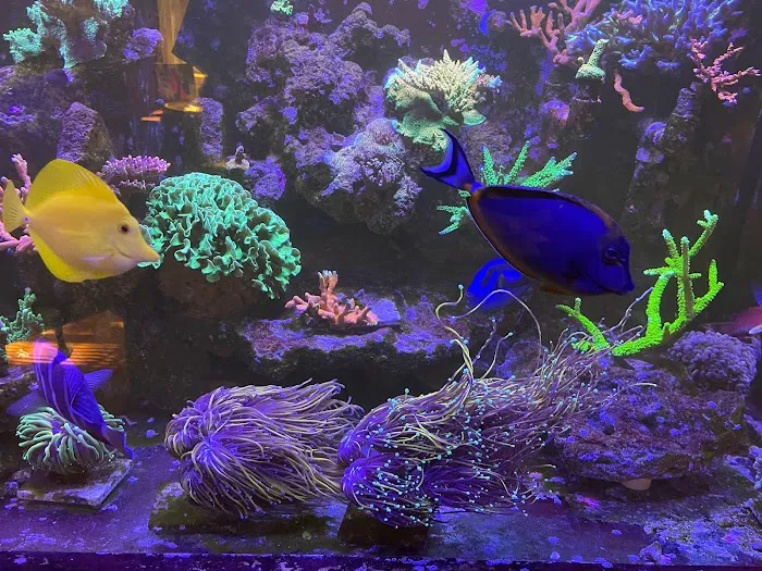 Seaworthy Aquatics Picture 9