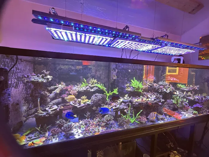Seaworthy Aquatics Picture 3