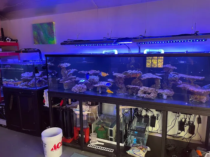 Seaworthy Aquatics Picture 10