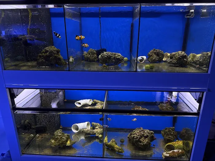 Seaworthy Aquatics Picture 2
