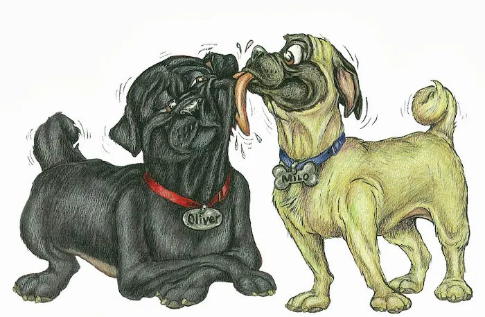 Fetch 'N' Sketch Picture 2