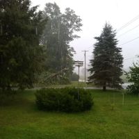 Roaring Brook Veterinary ico