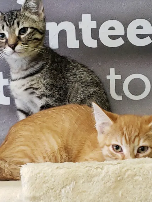 Petco Picture 2