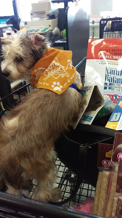 Petco Picture 7