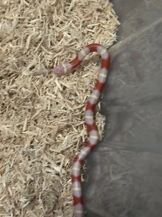 Petco Picture 6