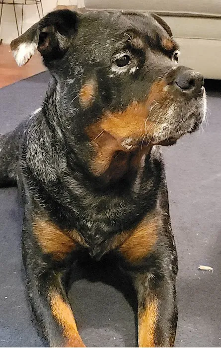 Moodus Veterinary Practice Picture 10