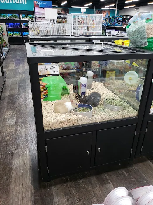 Pet Supermarket Picture 8