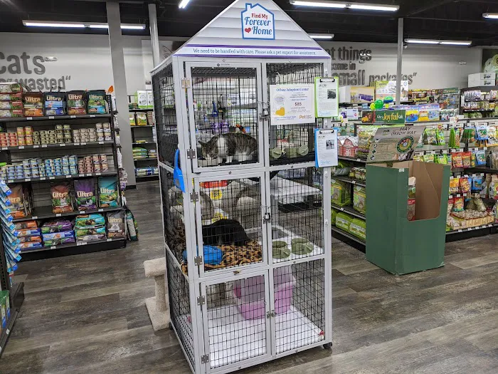 Pet Supermarket Picture 7
