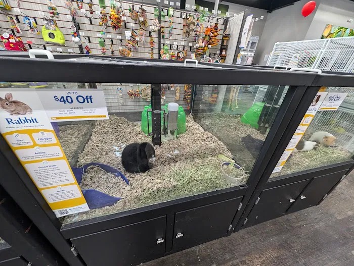 Pet Supermarket Picture 9