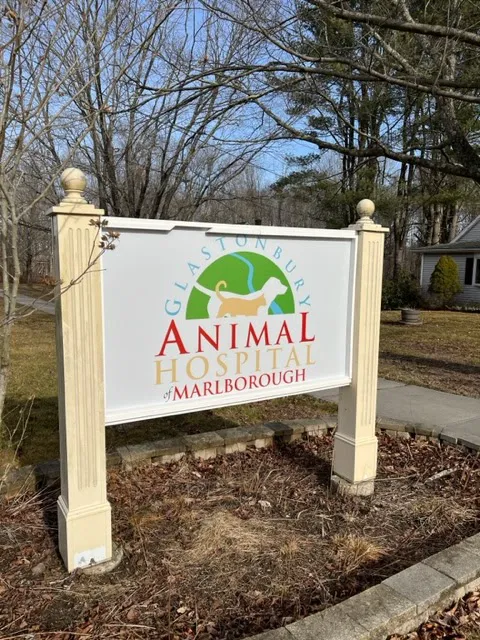Glastonbury Animal Hospital of Marlborough Picture 5