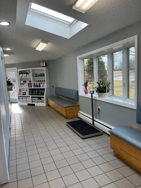 Glastonbury Animal Hospital of Marlborough Picture 4