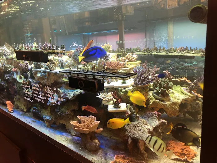OceanLife Aquariums Picture 3