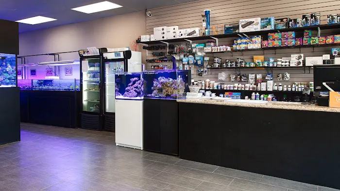 OceanLife Aquariums Picture 8