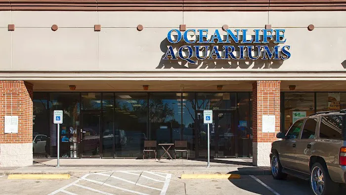 OceanLife Aquariums Picture 7