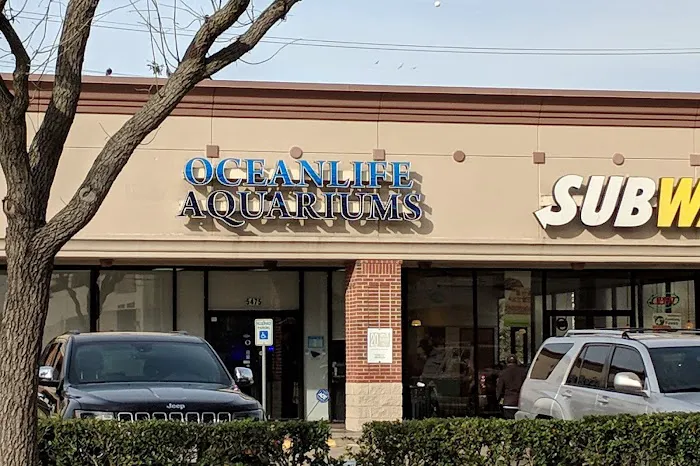 OceanLife Aquariums Picture 4