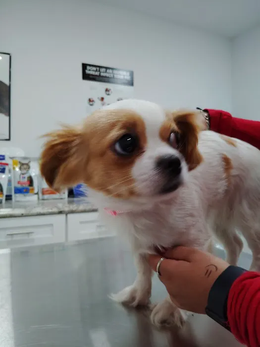Lopez Pet Supplies Picture 4