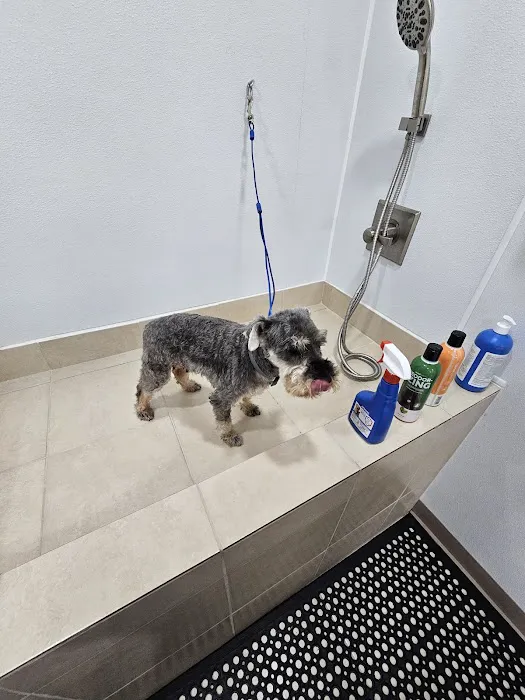 Lopez Pet Supplies Picture 7