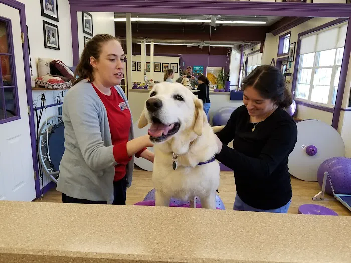 Wizard of Paws Physical Rehab Picture 2