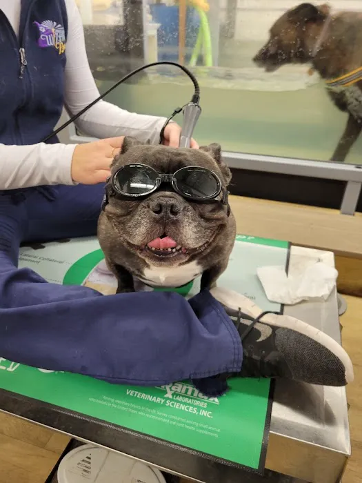 Wizard of Paws Physical Rehab Picture 7