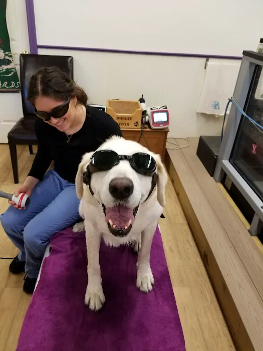 Wizard of Paws Physical Rehab Picture 5