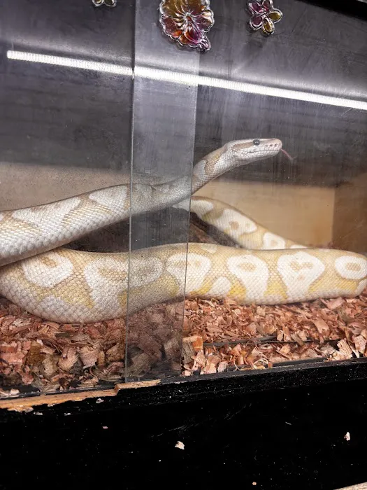 On 4 Life exotic pet shop Picture 7