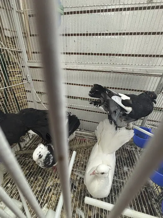 On 4 Life exotic pet shop Picture 5