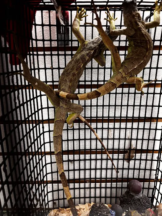 On 4 Life exotic pet shop Picture 9