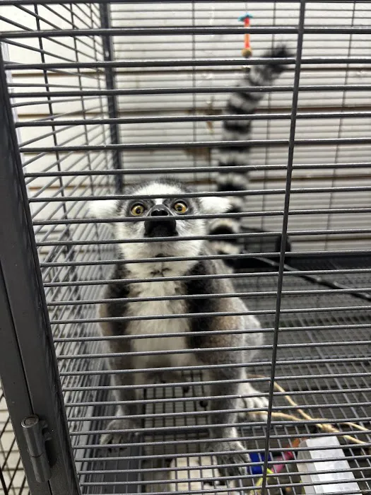 On 4 Life exotic pet shop Picture 4