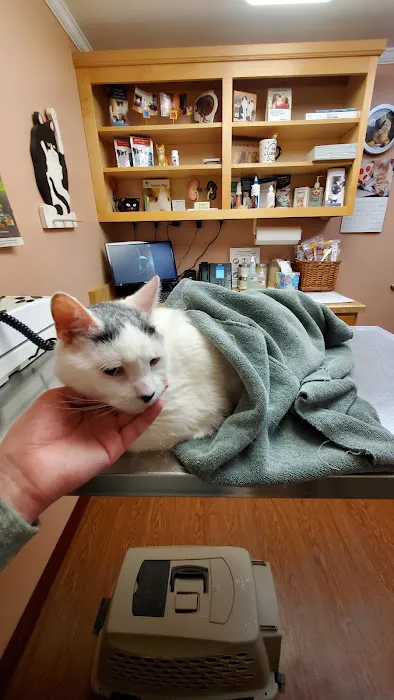 Adorable Pets Veterinary Center Picture 2