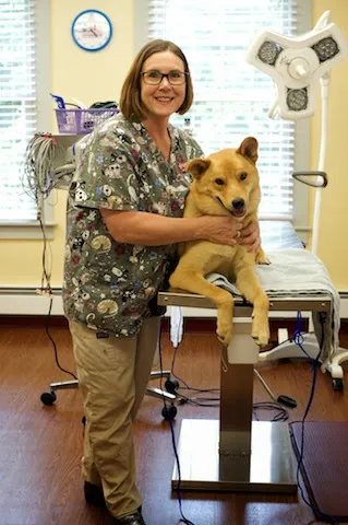 Adorable Pets Veterinary Center Picture 8